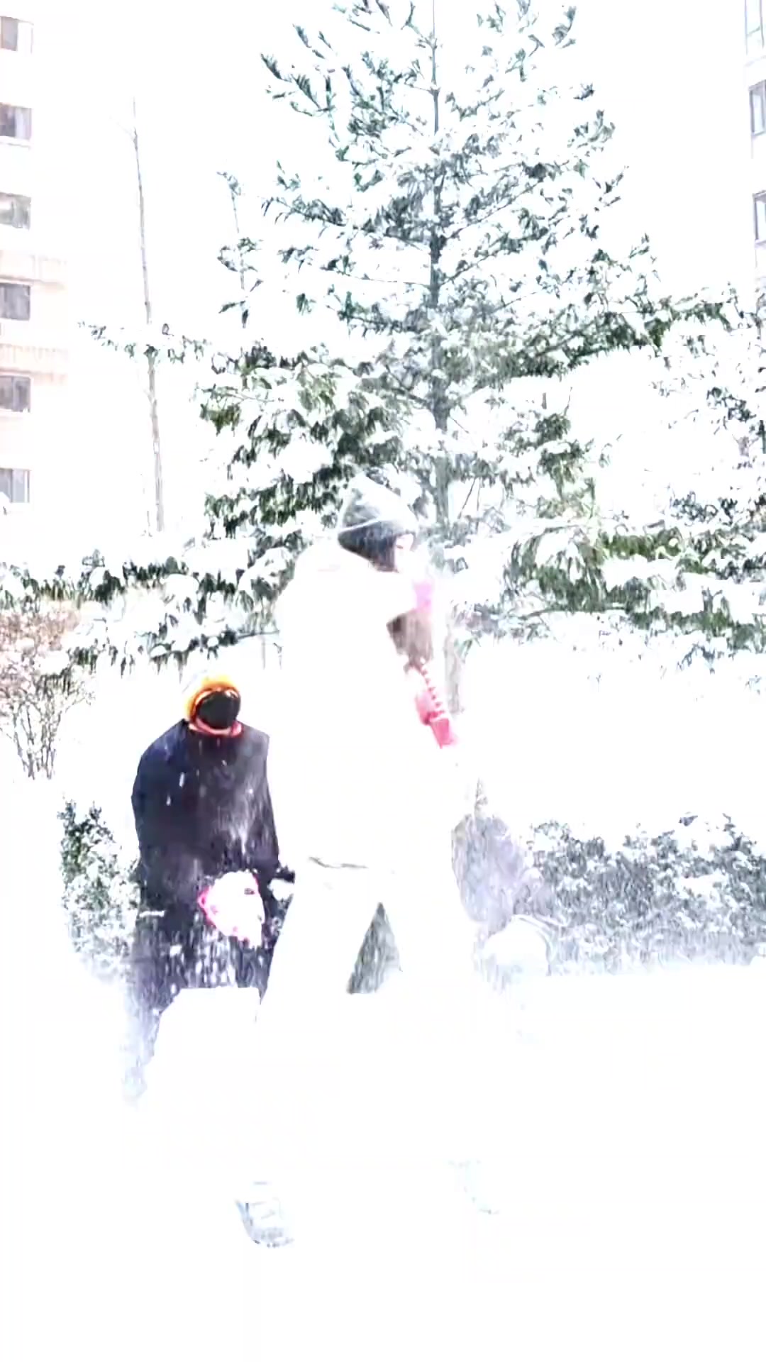 png电子东北的冬天!赵继伟妻子晒二人玩雪视频:下雪啦!撒欢儿去